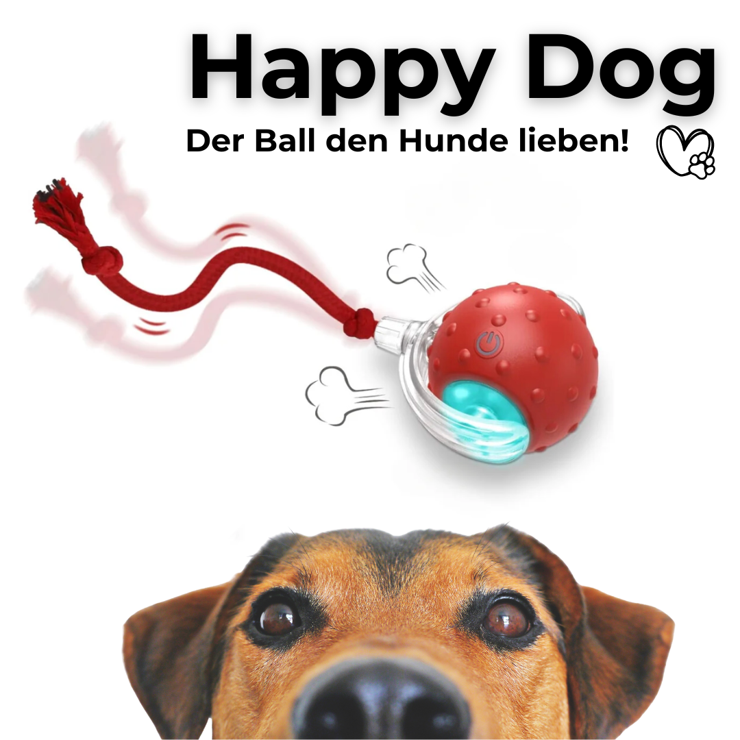 HappyDog - Der Ball den Hunde lieben!