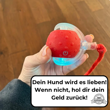 HappyDog - Der Ball den Hunde lieben!